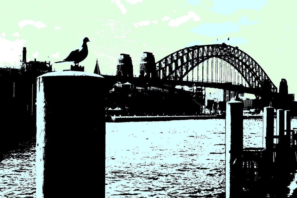 Contemporary artwork by Australian photographer Raymond Mather at ART1 Fine Art Photography. Sydney Harbour Bridge and a cheeky seagull in Pop Art inspired style.