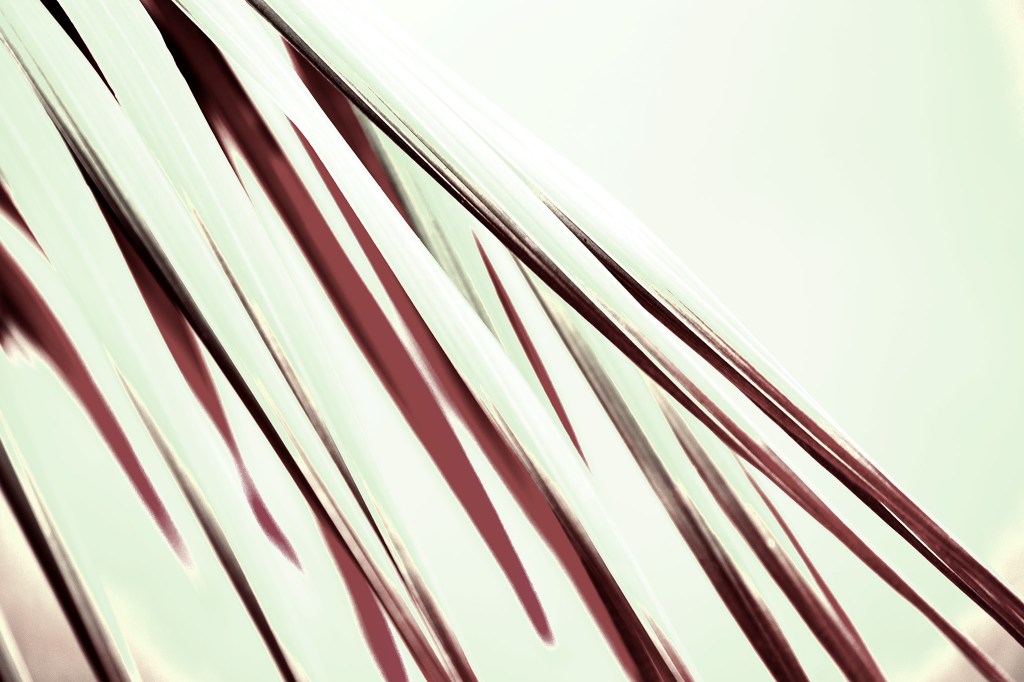 Contemporary artwork by Australian photographer Raymond Mather at ART1 Fine Art Photography. Palm frond in Pop Art Style, mint green and tan.